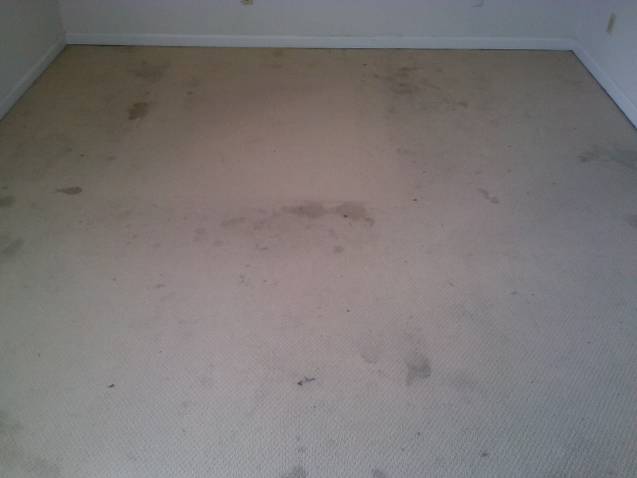 Dirty_Carpet