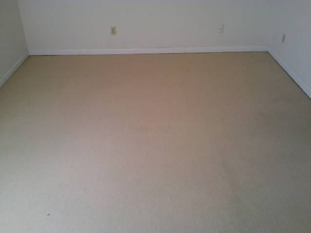 clean_carpet